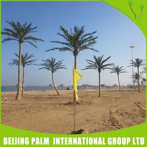 Custom Made interieur Date Palm Arabie Saoudite