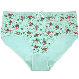 Sous-vêtements Yun Meng Ni, nouveau style, tailles 2XL/3XL/4XL, culottes hipster grandes tailles pour femmes, lingerie sexy - Product Image 4