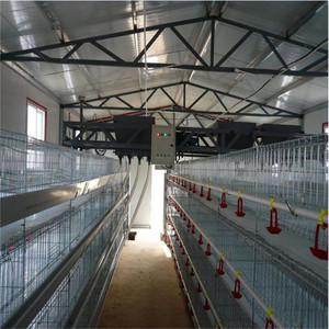 Broiler Chicken <strong>Cage</strong> and Laying Battery <strong>Hens</strong> <strong>Cage</strong> Poultry Farming Equipment - Product Image 4