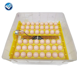 Nouveau produit 48 incubateur d'oeufs <span class=keywords><strong>de</strong></span> <span class=keywords><strong>pigeon</strong></span> <span class=keywords><strong>à</strong></span> <span class=keywords><strong>vendre</strong></span> en Inde - Product Image 3