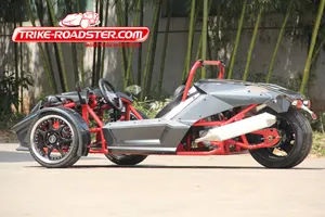 2013 hot sell 250cc/300cc zhenhua trike roadster