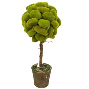 Green moss ball topiary tree in pot for garden decoration