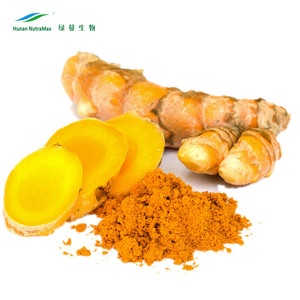 Ekstrak Kunyit Carcuma Longa 10% ~ 95% Kurjintin HPLC - Product Image 4