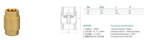 DN15 Forged Brass Vertical Spring <strong>Check</strong> Valve Smooth Surface with Non-Return Brass Core Normal Temperature Water <strong>Check</strong> Valve - Product Image 5