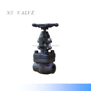 High quality API 602 alloy forge WCB /A105 globe valve 800LB