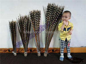 Bán Chạy Nhất Brazil Lông Màu Sắc Tự Nhiên Reeves Lông Đuôi Gà Lôi - Product Image 3