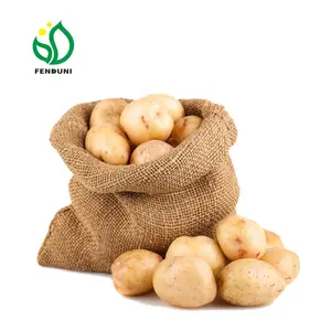 China Zoete Aardappel Voor India/Indonesië/Bangladesh Markt (Maat 80-150G, 20Kg/Mesh Zak)