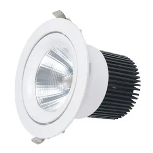Shenzhen Dali Dimmable CITIZEN Cob Free Recessed LED Downlight 60W 80W 100W IP44 DownライトLed