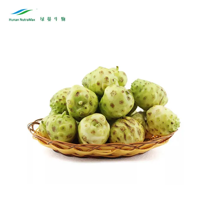 Factory Price Plant Extract Noni Fruit Juice Powder, Noni Juice Powder