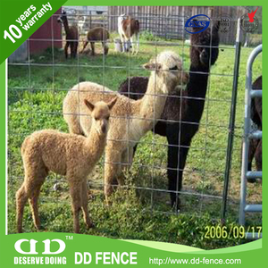 Clôtures écologiques pour animaux vivants/Chèvres et moutons/Fermes - Product Image 4
