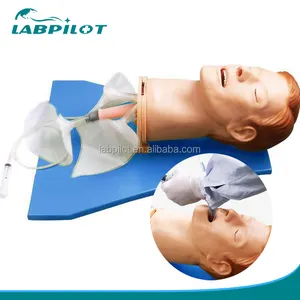 Comprehensive Airway Model,High Quality Intubation Training Simulator