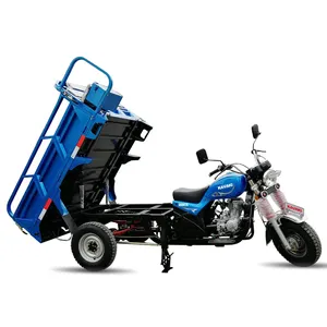 Özel yetişkin motosiklet üç tekerlekli kamyon 3 tekerlekli üç tekerlekli bisiklet lifan/zongshen motor satış için