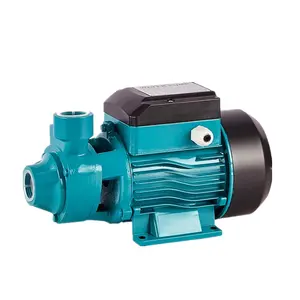 Peripheral Series Water Pumps For Clean Water