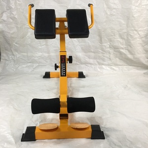 Gym exercice chaise romaine hyper extension banc - Product Image 1