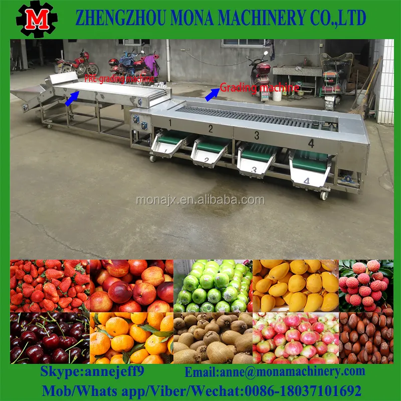 अनार छँटाई मशीन/अंडाकार आकार में फल आकार स्तर ग्रेडिंग मशीन सब्जी प्रसंस्करण लाइन