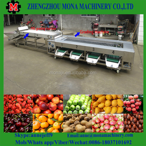 Macchina per la Selezione del Melograno/Macchina per la Classificazione delle Dimensioni delle Frutta Ovale nella Linea di Lavorazione delle Verdure - Product Image 1