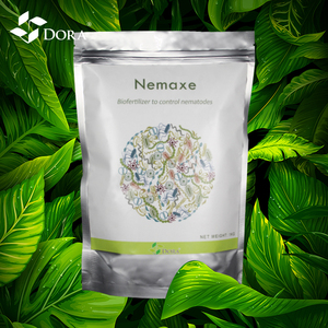 Haute Efficace <span class=keywords><strong>Nématicide</strong></span> Contrôle Nématodes Root Knot Engrais Bio Stimulants - Product Image 6