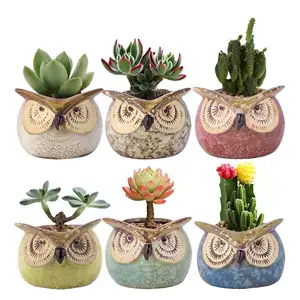 Mini vaso da fiori in ceramica gufo gufo in ceramica succulente fioriera vaso per interni
