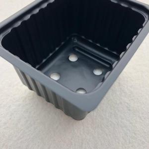 プラスチック播種トレイ植物成長トレイマイクログリーン植物トレイ - Product Image 2