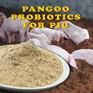 Sow pig lactobacillus foods