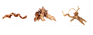 Gros <span class=keywords><strong>aquarium</strong></span> <span class=keywords><strong>bois</strong></span> flotté naturel - Product Image 3