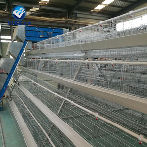 Gabbie automatiche a strati di pollo della batteria del pollaio dell'uovo del pulcino del bambino di allevamento di 4 livelli dell'uccello per le galline ovaiole