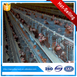 Zimbabwe <span class=keywords><strong>granja</strong></span> <span class=keywords><strong>de</strong></span> aves <span class=keywords><strong>de</strong></span> corral <span class=keywords><strong>de</strong></span> cría <span class=keywords><strong>de</strong></span> gallinas ponedoras jaulas en batería - Product Image 1