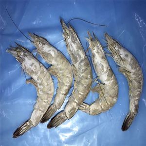 Años de experiencia bien recibido alimentos congelados blanco gambas - Product Image 4