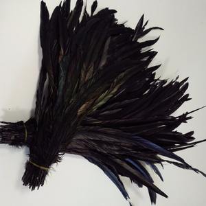 ขนไก่ดำสำหรับงานคาร์นิวัล ยาว 40-45 ซม. - Product Image 2
