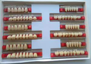 Top qualité dentaire dents de résine acrylique prothèse dents en polymère - Product Image 5