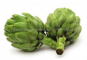 Gmp natural alta <span class=keywords><strong>de</strong></span> extracto <span class=keywords><strong>de</strong></span> <span class=keywords><strong>alcachofa</strong></span> - Product Image 2