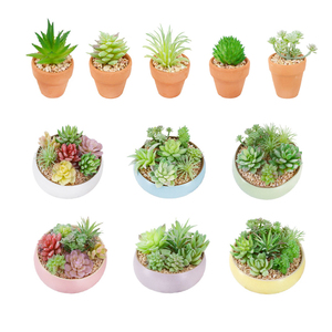 Mini <span class=keywords><strong>piante</strong></span> verdi di plastica tropicale all'ingrosso <span class=keywords><strong>piante</strong></span> succulente artificiali <span class=keywords><strong>in</strong></span> vaso <span class=keywords><strong>in</strong></span> vasi di <span class=keywords><strong>ceramica</strong></span> bianca - Product Image 5