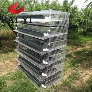 Baiyi Merek Wire Mesh Logam Quail Breeding Kandang dan Sistem Air