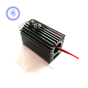 532nm Xanh 50MW <span class=keywords><strong>Laser</strong></span> Diode <span class=keywords><strong>Module</strong></span> Cho <span class=keywords><strong>KTV</strong></span> <span class=keywords><strong>Bar</strong></span> DJ Chiếu Sáng Sân Khấu - Product Image 3