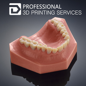 Hiệu suất mạnh mẽ nhựa 3D nguyên mẫu dịch vụ in ấn nha khoa mô hình lô nhỏ - Product Image 6