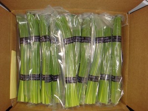 <span class=keywords><strong>Tige</strong></span> d'<span class=keywords><strong>ail</strong></span> fraîche de légumes chinois, nouveauté, 1 pièce, <span class=keywords><strong>tige</strong></span> d'<span class=keywords><strong>ail</strong></span> frais/<span class=keywords><strong>tige</strong></span> de 250g en lot - Product Image 4