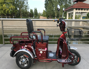 <span class=keywords><strong>Tricycle</strong></span> électrique, 60V, 1000W, <span class=keywords><strong>pour</strong></span> <span class=keywords><strong>adultes</strong></span>, avec batterie au plomb, bon marché, vente en gros - Product Image 3