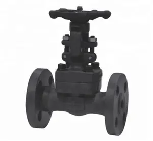 Ansi 2500 2 Inch Electric Actuator Jenis Flange Gate Valve