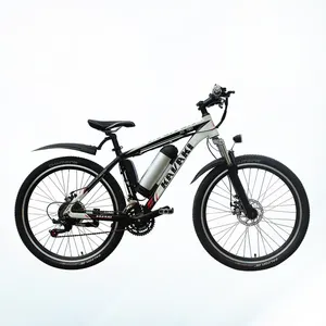 Cinese del motore bicicletta elettrica 48 v 1000 w bici elettrica 2019 di modo e-bike