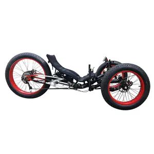 500วัตต์มอเตอร์แรงบิดเหยียบช่วยยางไขมัน Recumbent ลูกอ๊อด Trikes