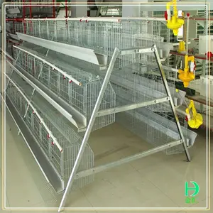 Fabrication cage oiseaux chicken coop pas cher poultry farm couche cage à vendre