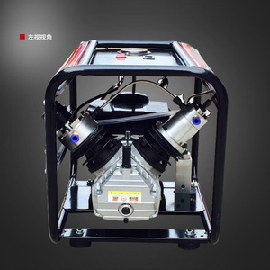 300BAR 4500PSI 고압 공기 펌프 전기 공기 압축기 스쿠버 소총 PCP 팽창기 220v 110v - Product Image 4