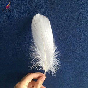 Bán buôn đầy màu sắc 8-13cm tự nhiên số lượng lớn lông ngỗng cho phụ kiện tự làm - Product Image 3