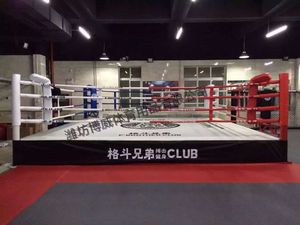Logo personnalisé pour anneau <span class=keywords><strong>de</strong></span> <span class=keywords><strong>boxe</strong></span>, anneau professionnel, en vente, 2 pièces - Product Image 5