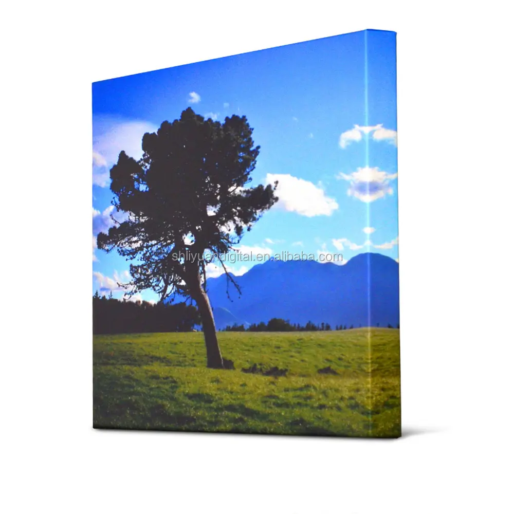 Wall Art Custom Printing Canvas Print On Canvas