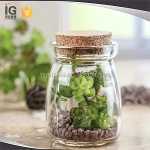 Round glas terrarium w/korken für verkauf