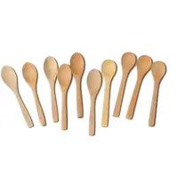 Small Beech Wooden Spoons, Customized Logo, Ice Cream