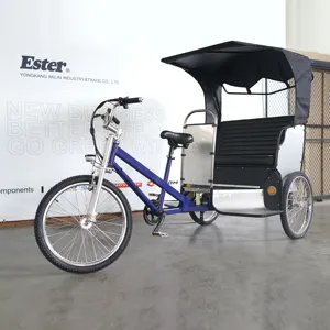 Éster de Rickshaw Rickshaw Triciclo de os passageiros com CE para a venda