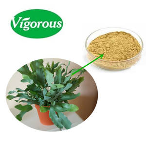 Productos de alta calidad para el cuidado de la salud, extracto de phlebodio, polvo de <span class=keywords><strong>aureum</strong></span> - Product Image 1