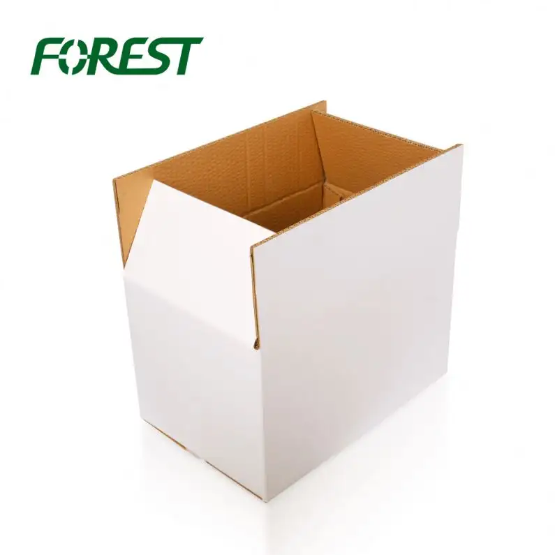 F019 Forest packing english factory wholesale popularly priced large cylinder cardboard box